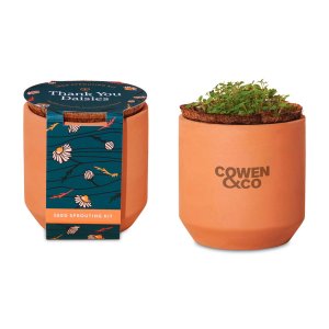 Modern Sprout Tiny Terracotta Grow Kit Thank You Daisies