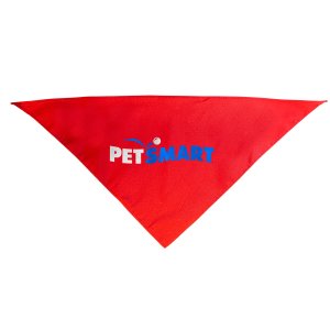 Scout's Small Pet Bandana