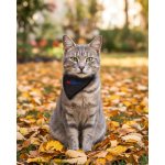 Scout's Small Pet Bandana