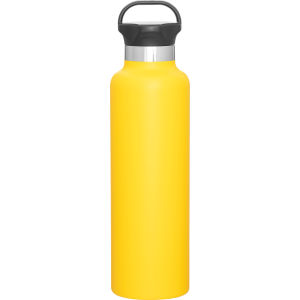 24 oz h2go ascent - powder
