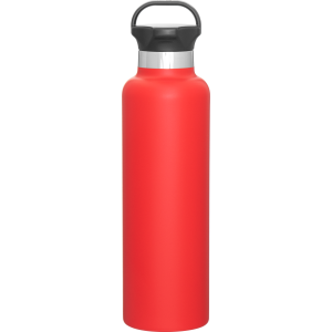 24 oz h2go ascent - powder