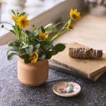 Modern Sprout Tiny Terracotta Thank You