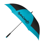 Black/Teal