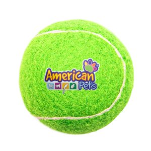 Full Color Fetch Time Pet Tennis Ball