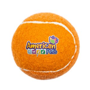 Full Color Fetch Time Pet Tennis Ball