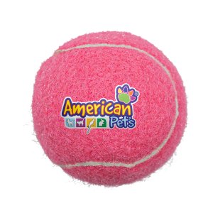 Full Color Fetch Time Pet Tennis Ball