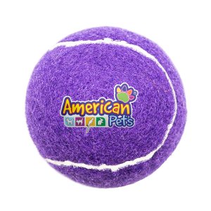 Full Color Fetch Time Pet Tennis Ball