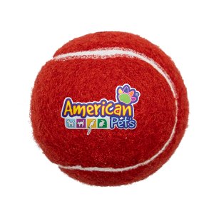 Full Color Fetch Time Pet Tennis Ball