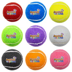 Full Color Fetch Time Pet Tennis Ball