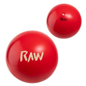 Bounce Buddy 4-Inch Vinyl Ball