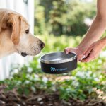 Whisker Buddy 40 oz Stainless Pet Bowl