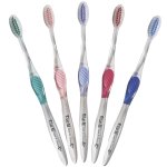 ColorPop Clear Adult Toothbrush