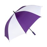 Purple/White