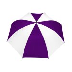 Purple/White