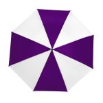 Purple/White