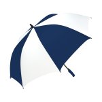 Navy/White