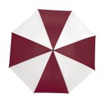 Burgundy/White