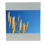 Aluminum