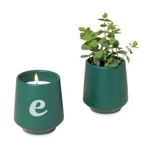 Modern Sprout Rooted Candle