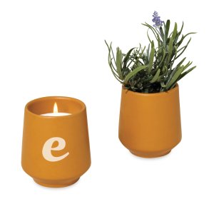 Modern Sprout Rooted Candle