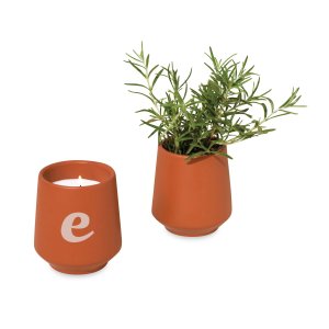 Modern Sprout Rooted Candle