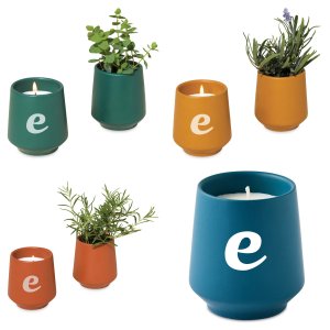 Modern Sprout Rooted Candle