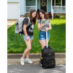 High Sierra Freewheel Pro Wheeled Backpack