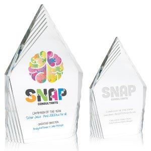 Summit Twist Acrylic Award
