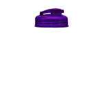 Translucent Violet