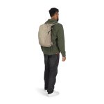 Osprey Daylite