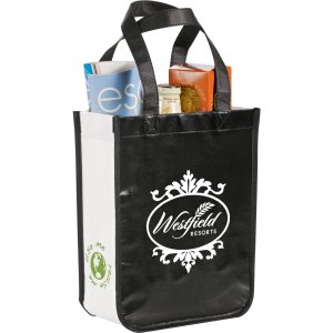 Laminated Glossy Non-Woven Gift Bag