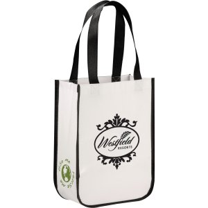 Laminated Glossy Non-Woven Gift Bag