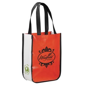 Laminated Glossy Non-Woven Gift Bag