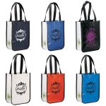 Laminated Glossy Non-Woven Gift Bag