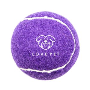 Fetch Time Pet Tennis Ball