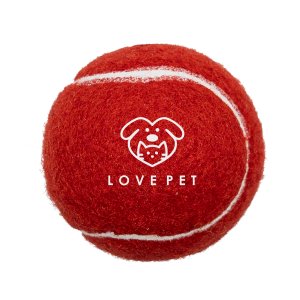 Fetch Time Pet Tennis Ball
