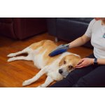 Pet Pal Two-Sided Grooming Mitt