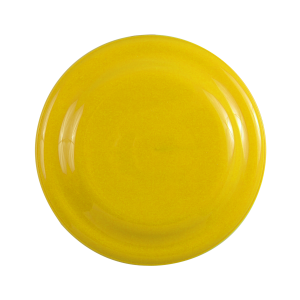 Classic 7 Inch US-Made Flying Disc