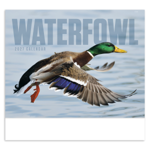 Waterfowl - Stapled Calendar
