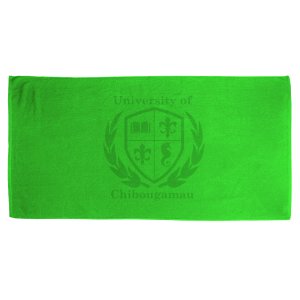 Sun Seeker Cotton Beach Towel 35x60