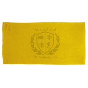 Sun Seeker Cotton Beach Towel 35x60