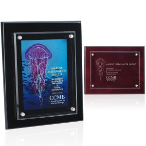 Skyline Floating Glass Plaque 8" x 10"