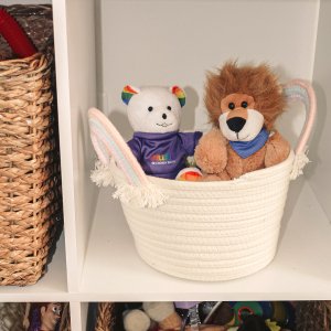 6" Rainbow Bear Plush