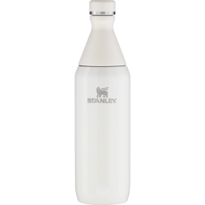 20 oz stanley all day slim bottle
