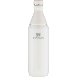 20 oz stanley all day slim bottle