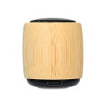BAMBOO
