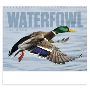Waterfowl - Spiral Calendar