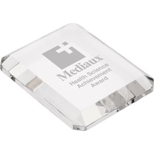 Hudson Crystal Rectangle Paperweight