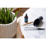 Modern Sprout Plant Parent Care Kit