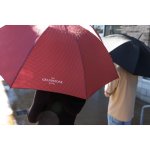 Samsonite Stick Auto Open Umbrella